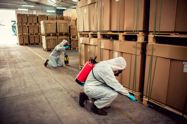 Pest Prevention Services in Lake Mary Jane, FL