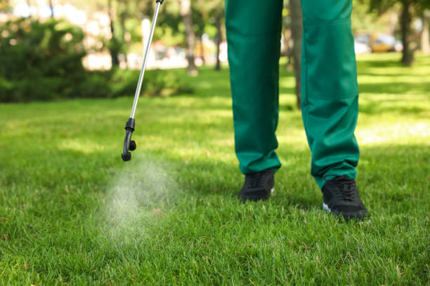 Best Ant Control Services  in Lake Mary Jane, FL