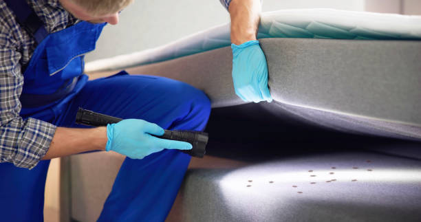 Best Commercial Pest Control Services  in Lake Mary Jane, FL
