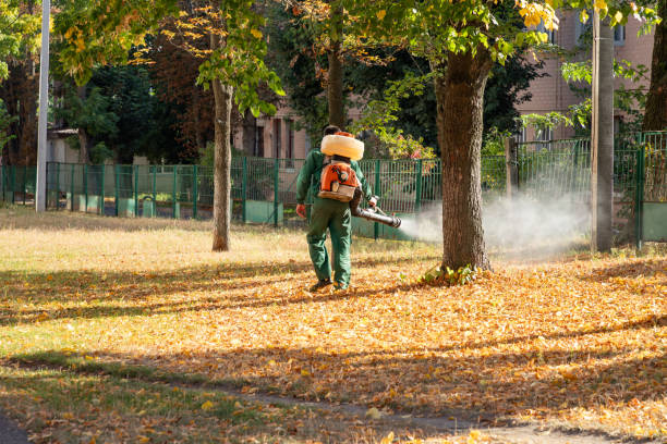 Best Local Pest Control Services  in Lake Mary Jane, FL