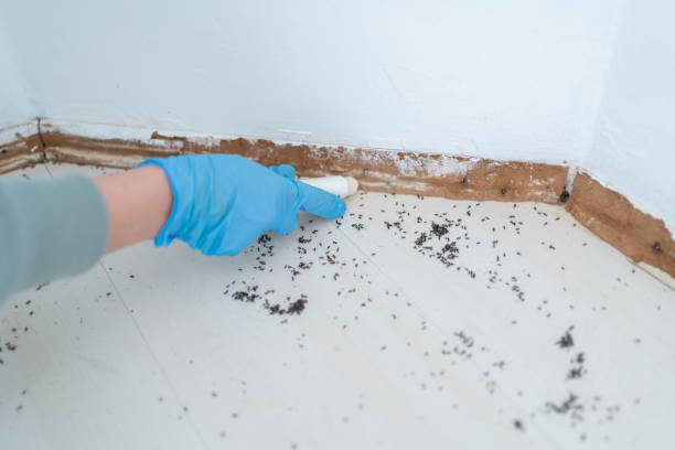 Wildlife Control Services in Lake Mary Jane, FL