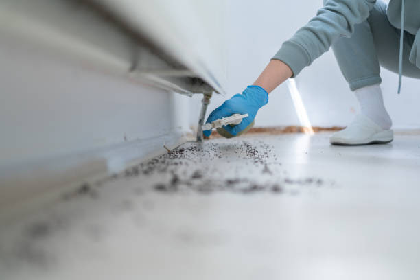 Lake Mary Jane, FL Pest Control Company